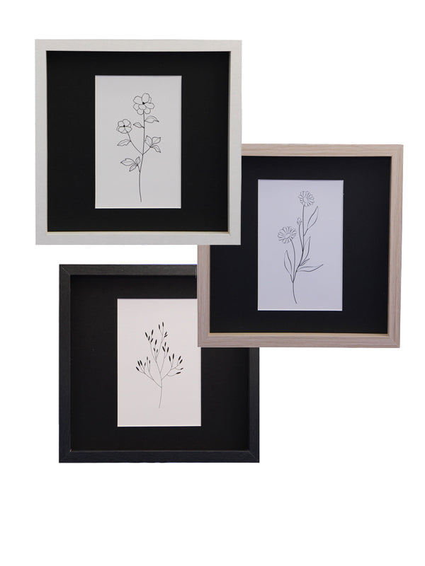 Marcos con paspartú ancho 10x15/20x20