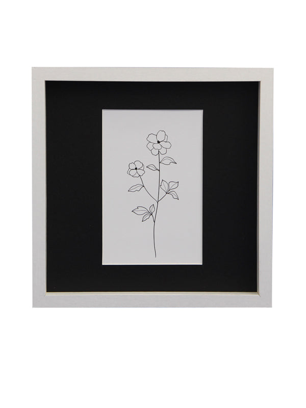 Marcos con paspartú ancho 10x15/20x20