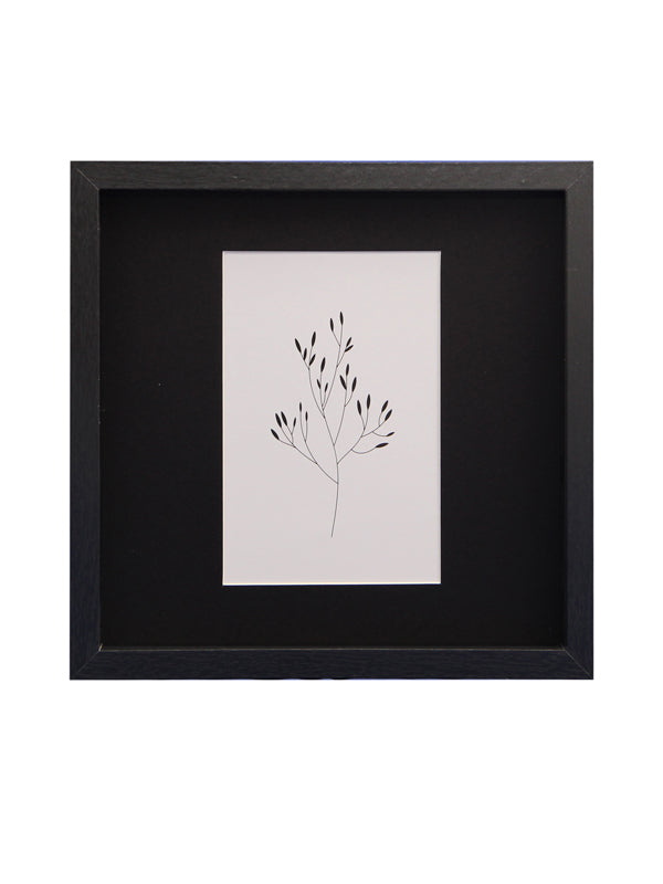 Marcos con paspartú ancho 10x15/20x20