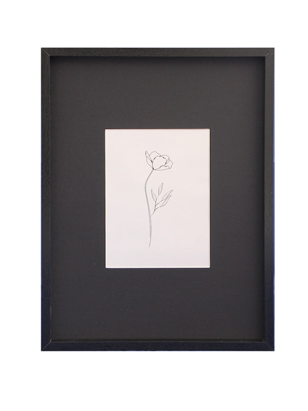 Marcos con paspartú ancho 15x20/30x40